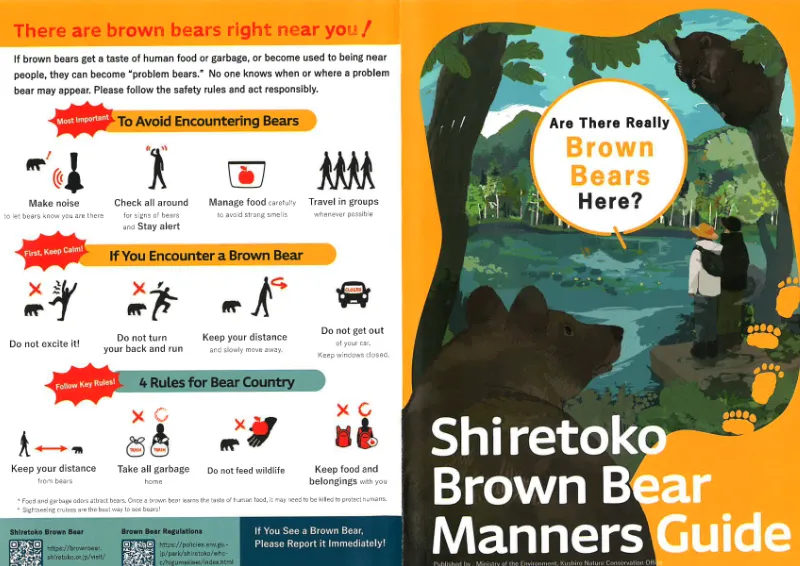 Brown Bear Manners Book